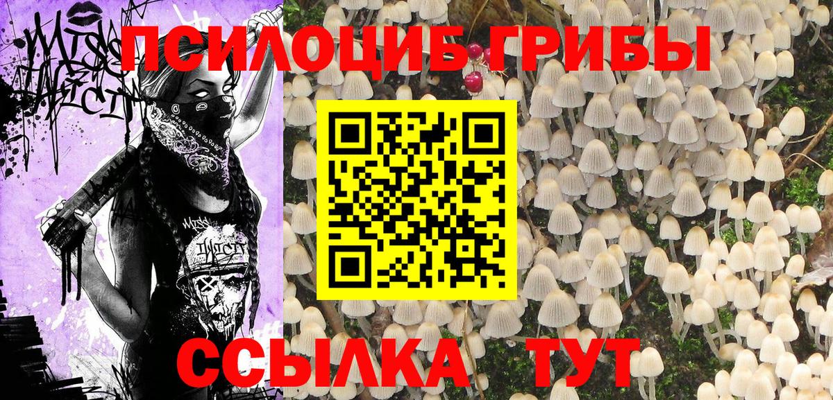 Галлюциногенные грибы Psilocybine cubensis  Вход с VPN  Ханты-Мансийск 